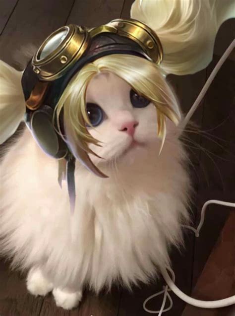 Pin By Rixon On Meo X Mlbb Mobile Legends Cat Icon Mobile Legend