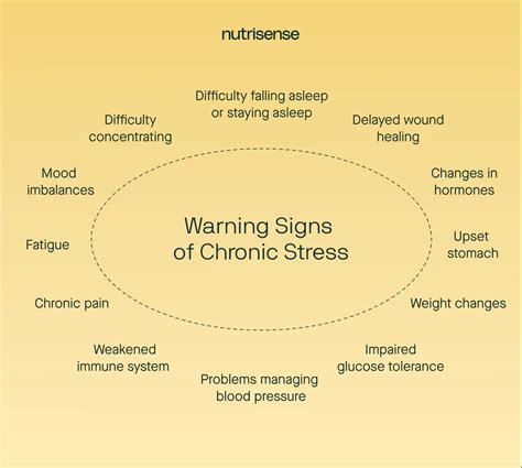 Understanding The Different Types Of Stress Nutrisense Journal