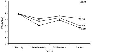 Yield And Water Productivity Of Drip Irrigated Potato Under Different