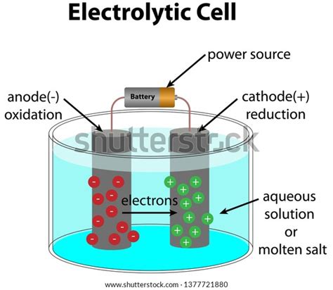 273 Electrolytic Cell Stock Vectors, Images & Vector Art | Shutterstock