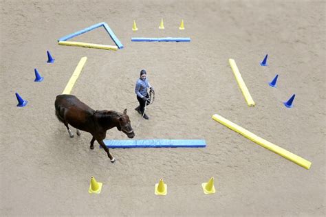 Equikinetic für jedes Pferd cavallo de