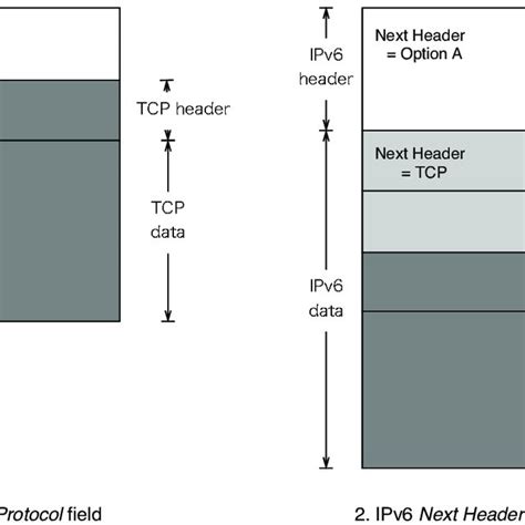 5 The Protocol Field In The Ipv4 Header And The Next Header Field In Download Scientific