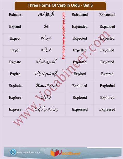 1200 Basic English Words With Urdu Meanings Pdf Set 5 Vocabineer