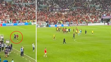 Did Cristiano Ronaldo Walk Off The Pitch As Portugal Players Celebrate