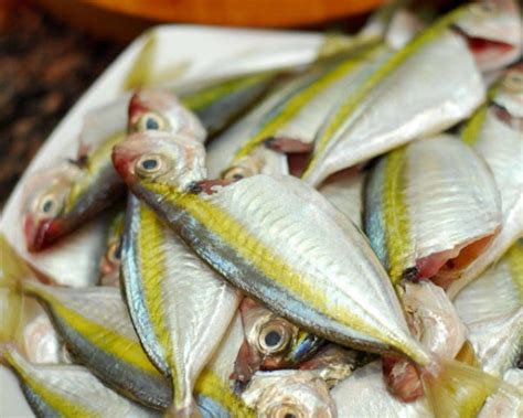 Ikan Selar Kuning Kecil Cara Mudah Buat Gulai Kuning Ikan Selar Yang