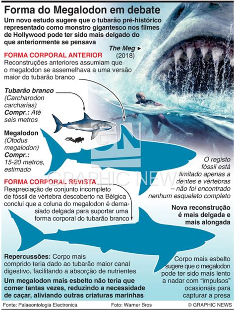 CIÊNCIA Forma corporal do Megalodon em debate infographic