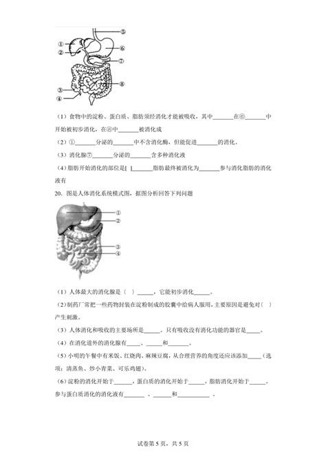 2023 2024学年初中生物苏科版七年级上册期末测试模拟卷2（答案解析） 21世纪教育网