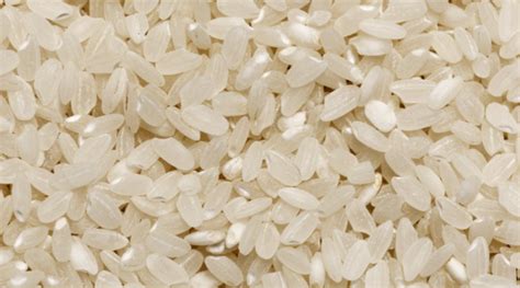 Mengenal Jenis Jenis Produk Agrikultur Yang Diproduksi Di Indonesia