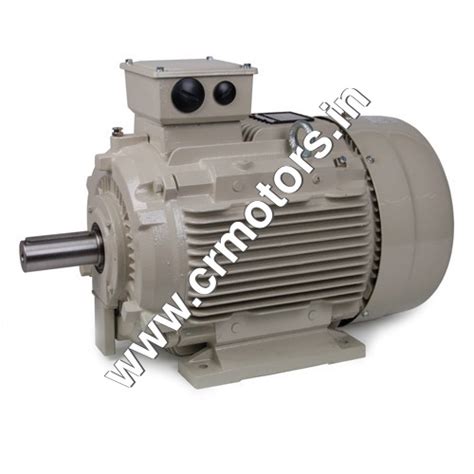 3 Phase Induction Motor Frequency Mhz 50 Hertz Hz At Best Price In