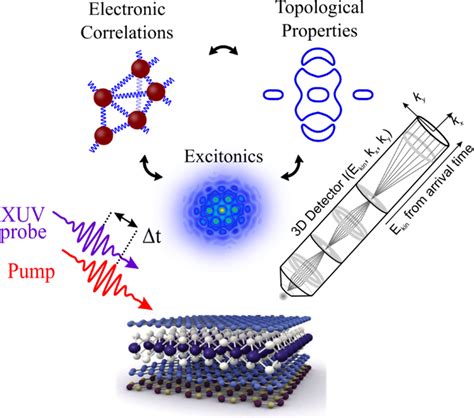 2DMP Exploring Electronic Correlations Excitonics And Topology On