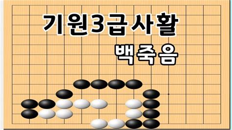 바둑사활 기원3급이면 쉽게 풀수있는 바둑묘수풀이 Youtube