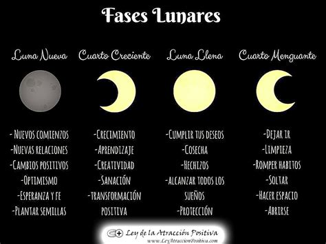 Como Son Las Fases De La Luna Dinami