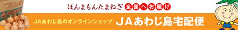 会社概要 フリーダムネットワークス株式会社