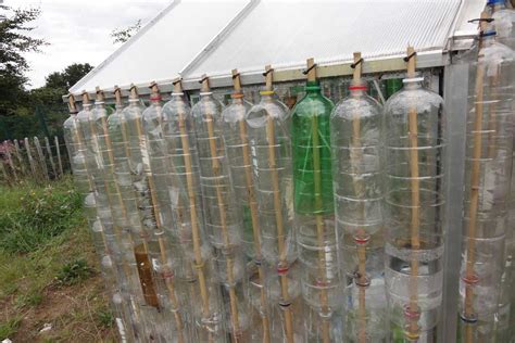 Building A Bottle Greenhouse Rhs Campaign For School Gardening