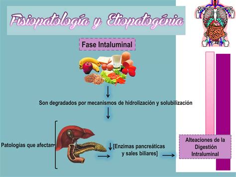 Sindrome De Malabsorcion Ppt Descarga Gratuita