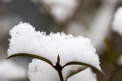 冬天 雪 冬季景观 Pixabay上的免费照片 Pixabay