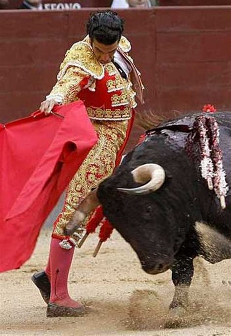 Index of /image/2010/11/matador-spain