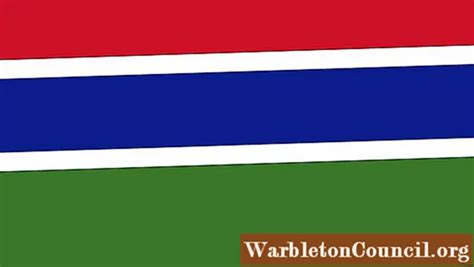 Flag Of Gambia History And Meaning Science 2024