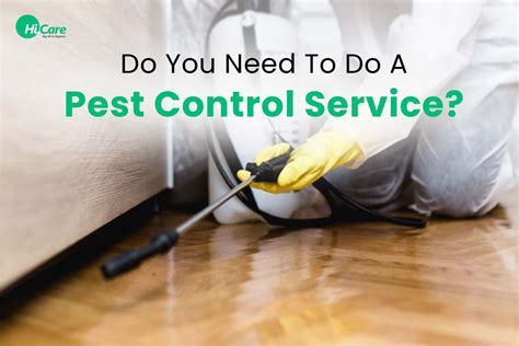 Top 5 Signs On Do You Need To Do A Pest Control Service Hicare