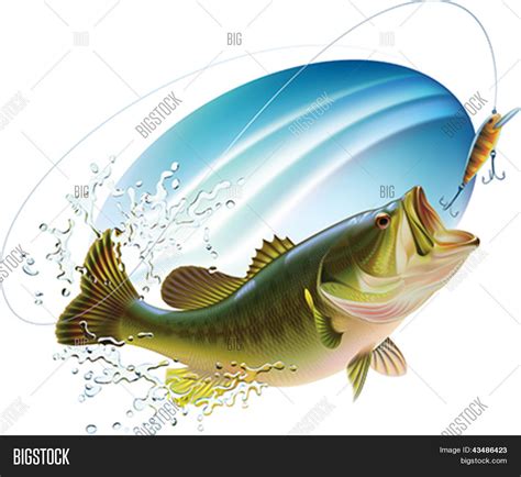 Largemouth Bass Vector Photo Free Trial Bigstock