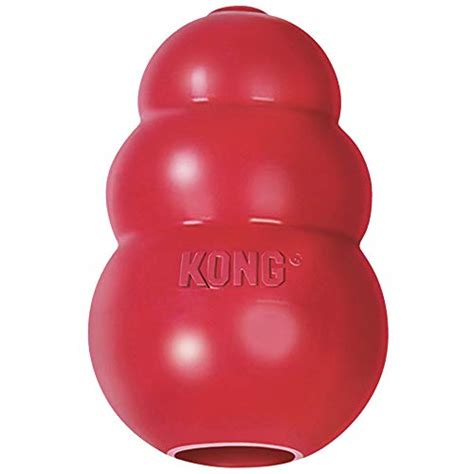 6 Stuffed Kong Recipes: What to Stuff in a Kong Dog Toy