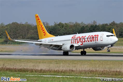 Boeing R Wl Tc Arp Pegasus Airlines By Pascal Simon Pictaero