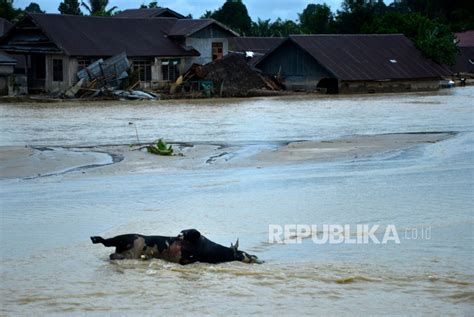 Pencarian Korban Banjir Luwu Utara Terus Dilakukan Republika Online