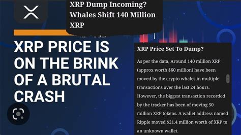 Warning Xrp Whales Shift 140 Million Xrp Last 24 Hrs Is A Dump