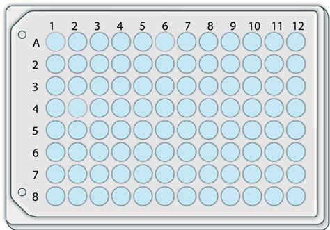 Guide To Select The Right Well System For Your Research Readycell