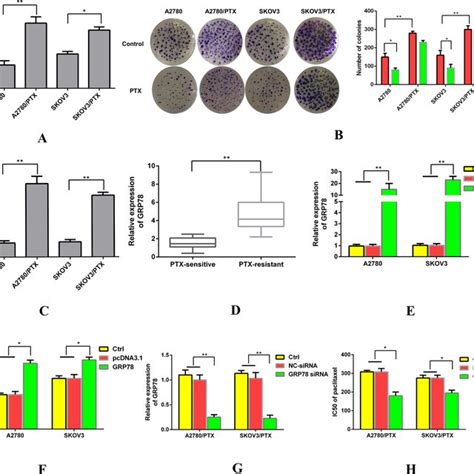 GRP78 Enhances Paclitaxel Resistance In Ovarian Cancer Cells A Four