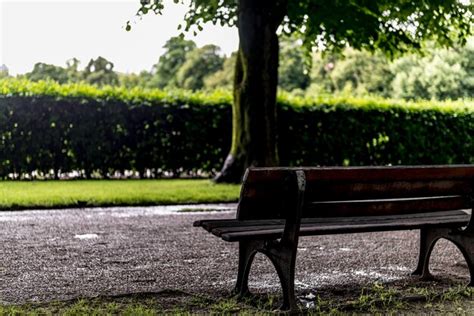 Premium Photo | Empty bench in park