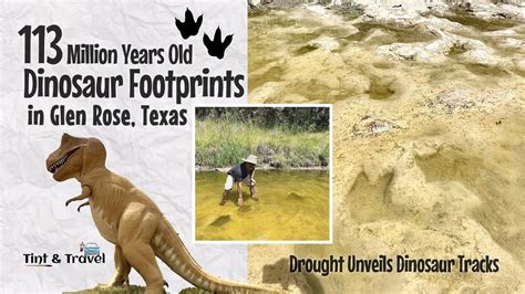 113 Million Years Old Dinosaur Footprints In Glen Rose Texas