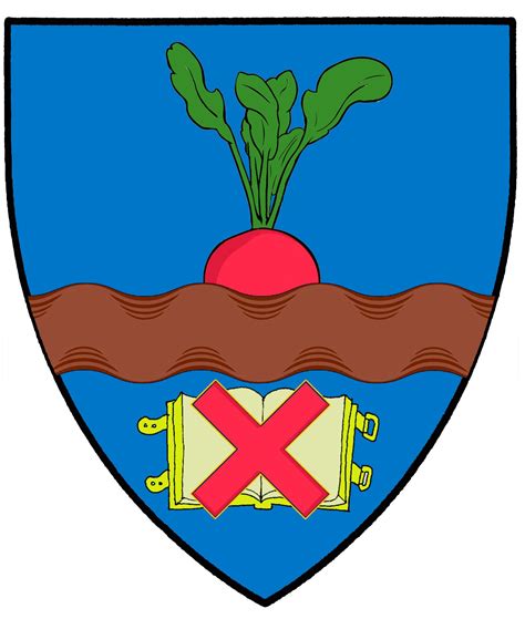 Закарпатский герб | NACƗONÂLNA SÂƧKA вики | Fandom