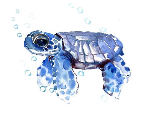 Sea Turtle, cute Turtle Blue turtle Art Print by surenart | Turtle ...