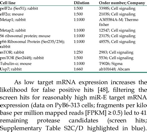 Primary antibodies for western blot | Download Scientific Diagram