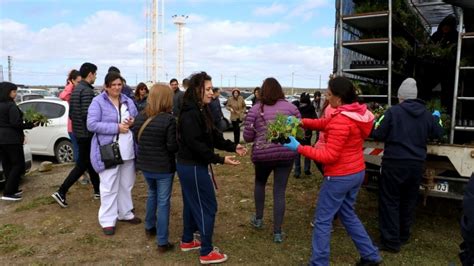 El Municipio Comenz Con La Tradicional Entrega De Plantines Infofueguina