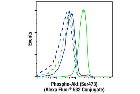 Phospho Akt Ser473 D9E XP Rabbit MAb Alexa Fluor 532 Conjugate