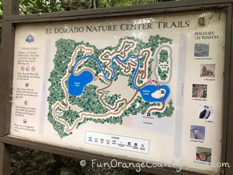 El Dorado Nature Center & Park in Long Beach (Guide for Families)