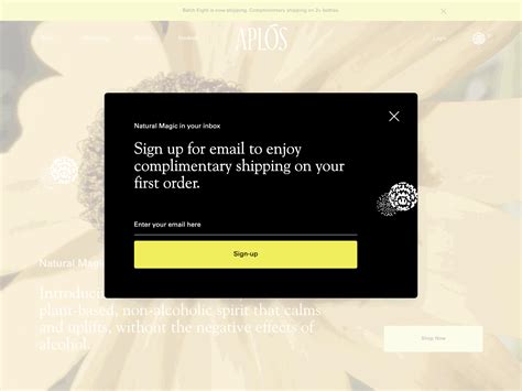 7 Email Newsletter Signup Forms That Convert