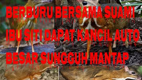 Suku Dayak Punan Berburu Kancil Langsung Di Masak Dan Di Makan Sampek