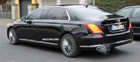 SPYSHOTS Genesis G90 Long Wheelbase Revealed Paul Tan Image 419444