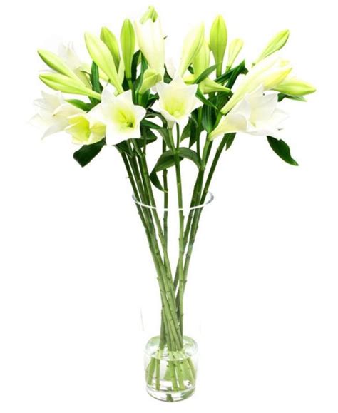 Flower Subscription Lilies