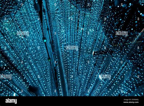 Light Installation At Cosmos Muzeum Immersive Museum Of Illussions
