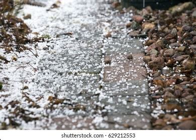 Graupel: Over 293 Royalty-Free Licensable Stock Photos | Shutterstock