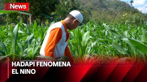 Hadapi Fenomena El Nino Ditjen Psp Kementa Serahkan Bantuan Untuk