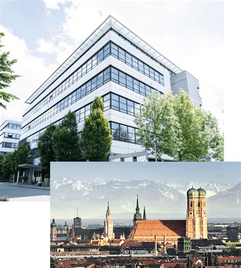 tzn Digital - Agentur für E-Commerce & Performance Marketing