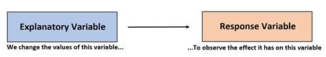 解释变量和响应变量：定义和示例