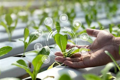 Technologies Revolutionizing Agriculture | ICLw