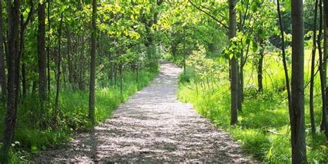 Rochester Hills hosts ‘dream’ sessions on parks – The Oakland Press