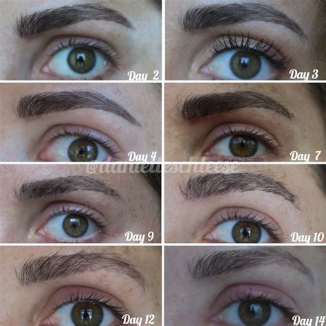 Microblading Healing Process | Microblading healing process ...